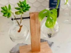 Cooper And Smith Propagation Stations Harper Propagation Station - 3 Pack