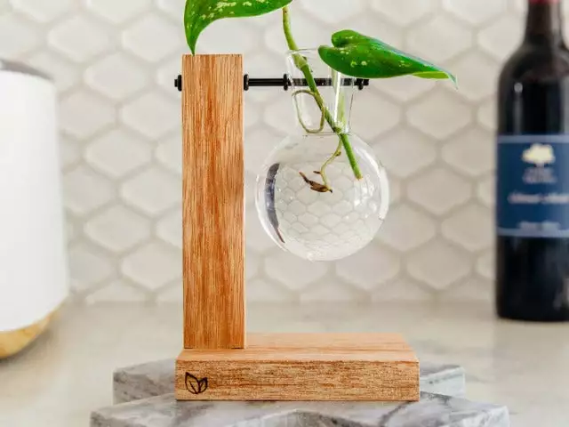 Cooper And Smith Harper Propagation Station 7 Cooper And Smith Harper Propagation Station