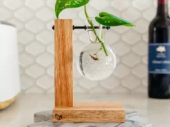 Cooper And Smith Propagation Stations Harper Propagation Station - 3 Pack