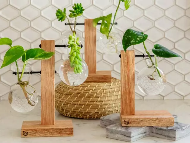 Cooper And Smith Harper Propagation Station 9 Cooper And Smith Harper Propagation Station