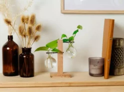 Cooper And Smith Harper Propagation Station