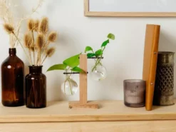 Cooper And Smith Propagation Stations Harper Propagation Station - 3 Pack