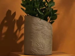 Tree Stripes Pty Ltd Hi-Lo Pot Palms - Light Brown Pots & Hanging Baskets