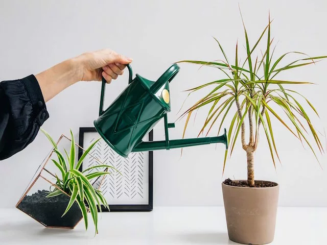 Quality Products Heritage ♻️ Watering Can - Blue Or Green 7 Quality Products Heritage ♻️ Watering Can - Blue Or Green