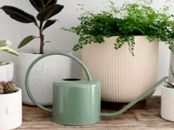 Hoselink Indoor Watering Can - Small