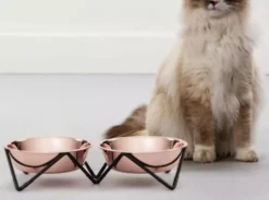 Bendo Double Cat Bowl - Mix 'n' Match