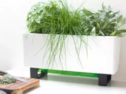 GLOWPEAR PTY LTD Mini Bench Outdoor Accessories