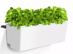 GLOWPEAR PTY LTD Mini Rail