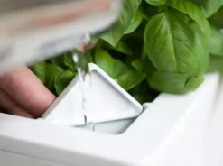 GLOWPEAR PTY LTD Mini Rail