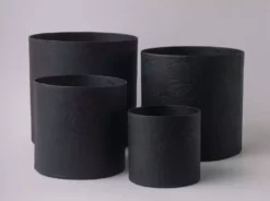 Tree Stripes Pty Ltd Pots & Hanging Baskets Cylinder Pot Monstera - Black