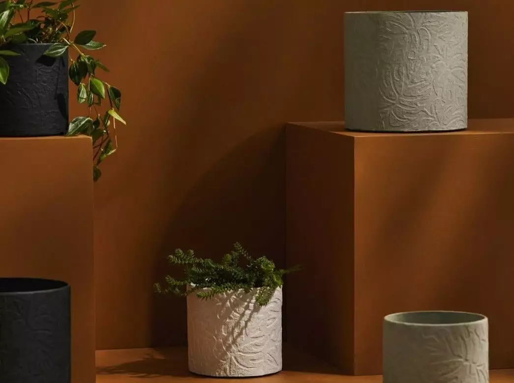 Tree Stripes Pty Ltd Pots & Hanging Baskets Cylinder Pot Monstera - Black 6 Tree Stripes Pty Ltd Pots & Hanging Baskets Cylinder Pot Monstera - Black