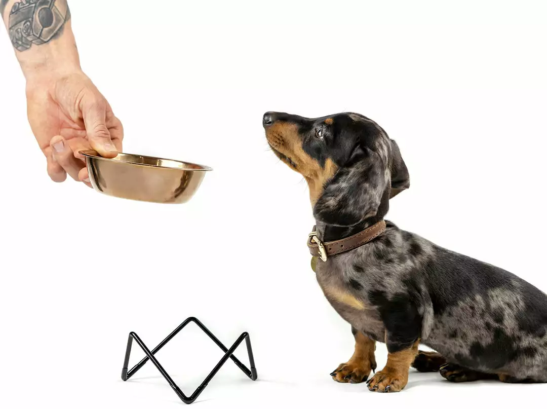 Bendo Lux Cat Bowls - Mix 'n' Match 4 Bendo Lux Cat Bowls - Mix 'n' Match