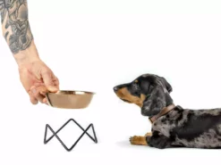 Bendo Lux Cat Bowls - Mix 'n' Match 60 Bendo Lux Cat Bowls - Mix 'n' Match