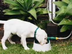 Hoselink Auto-fill Pet Bowl + 5m Hose & Tap Connector Hoses & Sprinklers