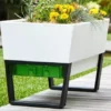 GLOWPEAR PTY LTD Urban Garden Outdoor Living 2 GLOWPEAR PTY LTD Urban Garden Outdoor Living