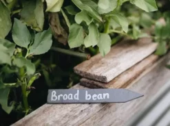 Hoselink Slate Plant Labels 10 Pack + Pen 9 Hoselink Slate Plant Labels 10 Pack + Pen