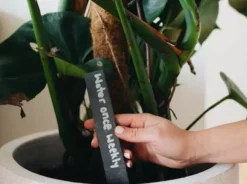 Hoselink Slate Plant Labels 10 Pack + Pen 10 Hoselink Slate Plant Labels 10 Pack + Pen