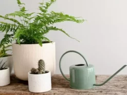 Hoselink Indoor Watering Can - Small 9 Hoselink Indoor Watering Can - Small